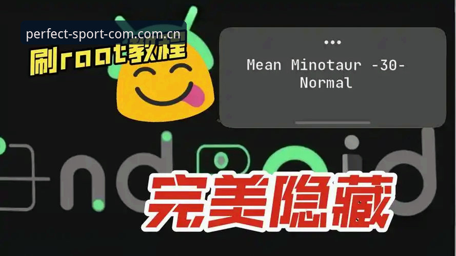 完美体育平台兼容版安装全攻略：从版本筛选到数据同步的操作教程
